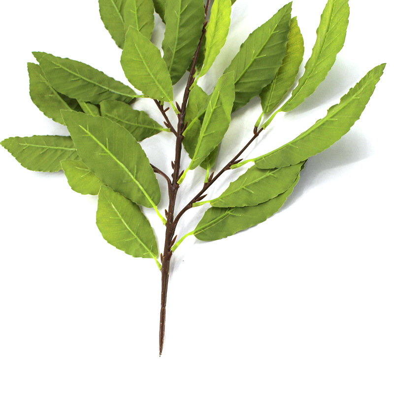 XRB-119 青杠叶四叉枝秋色  (6).jpg