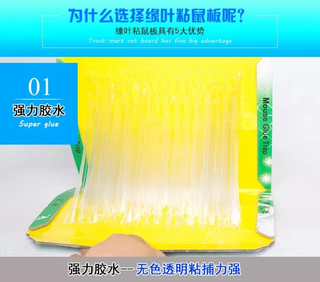 微信图片_20200910205057