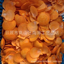 天然海螺贝壳扇贝黄扇贝餐具烧烤装饰水族鱼缸学生儿童高质量