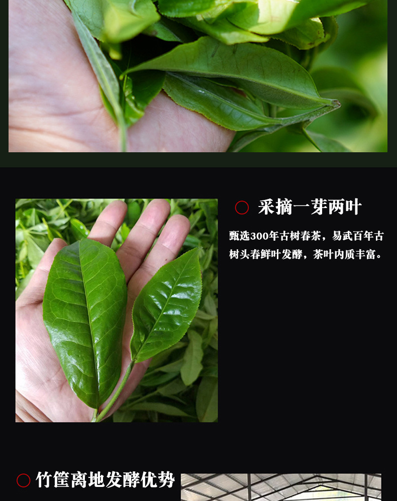 小金沱_05.jpg