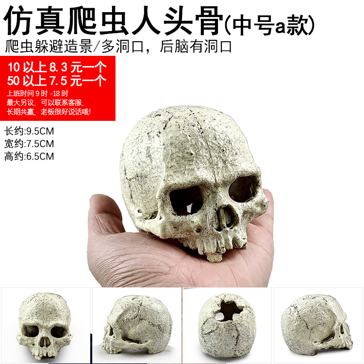 仿真爬虫人头骨