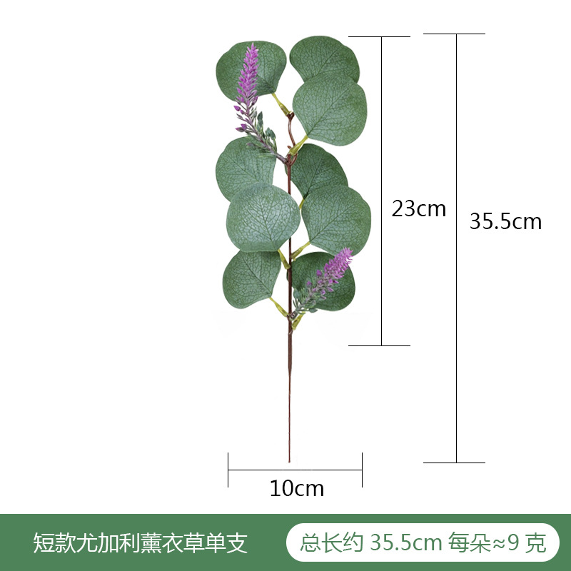 短杆尤加利薰衣草单枝SKU