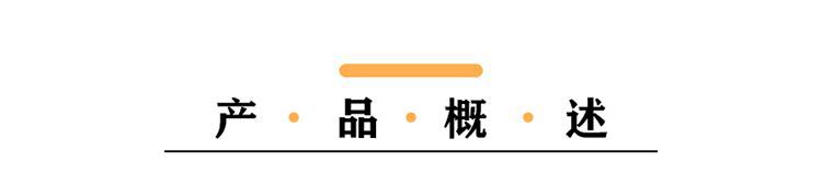 小标题-产品概述1