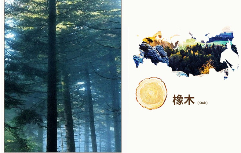 微信图片_20200527205149_副本