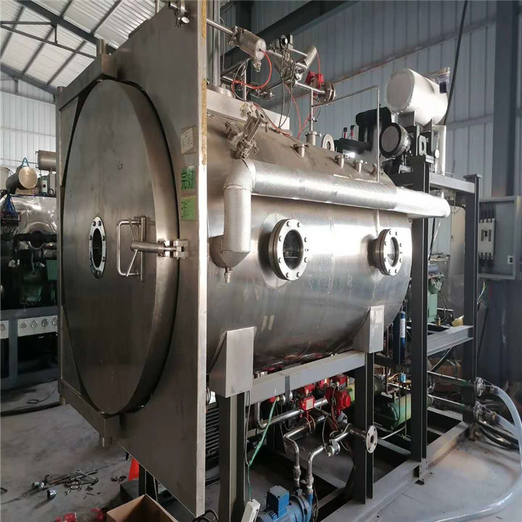 供应冻干机  二手真空冻干机   无花果食品真空冻干机