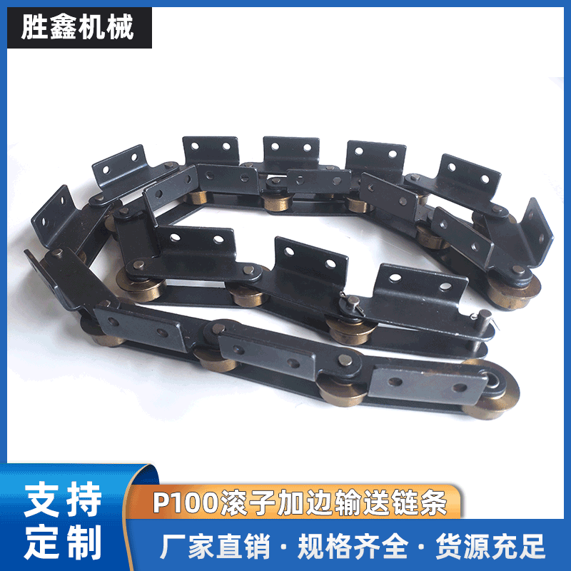 双孔工业链条 P100滚子加边输送链条 双孔不锈钢链条