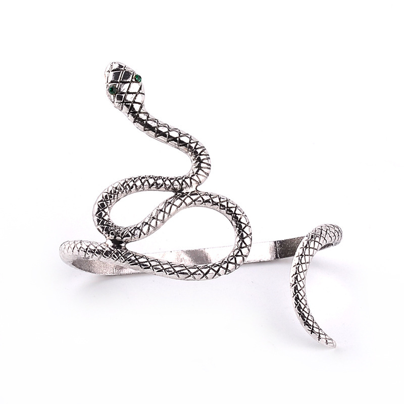 New Simple Retro Animal Winding Snake Wild Bracelet Nihaojewelry Wholesale display picture 7
