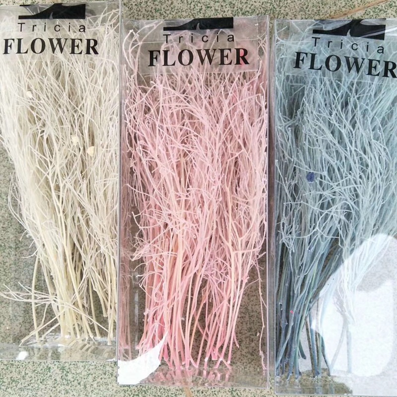 微信图片_20200424222818