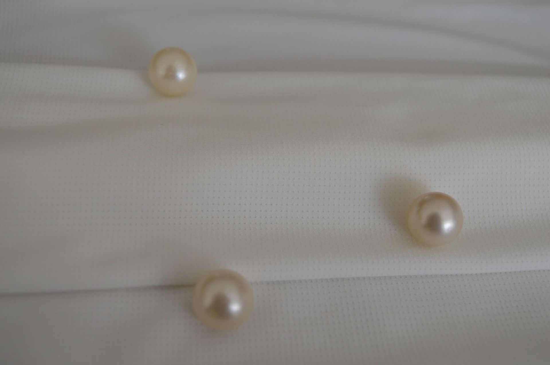 20D锦纶氨纶透气布纬编针织柔软弹力100g汗布 内衣里布女裤面料