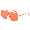 Fashionable sunglasses, brand glasses, 2021 collection, European style