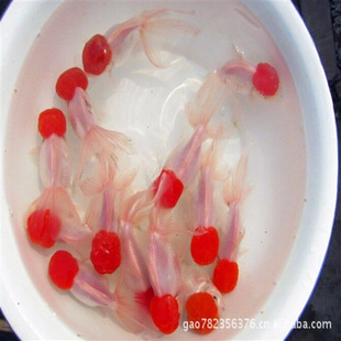 ���~�tñ���~��픽��~�Q피t���~��픃r����~����^�p�~���w�~��