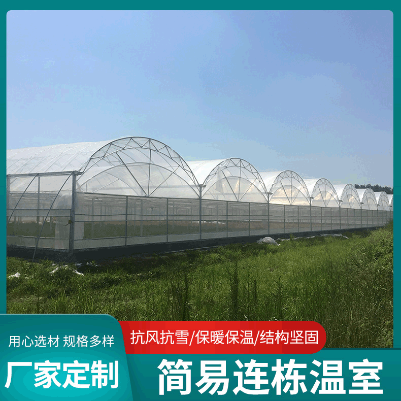 厂家生产承接定制温室工程 生态农业园区连栋大棚 玻璃温室工程