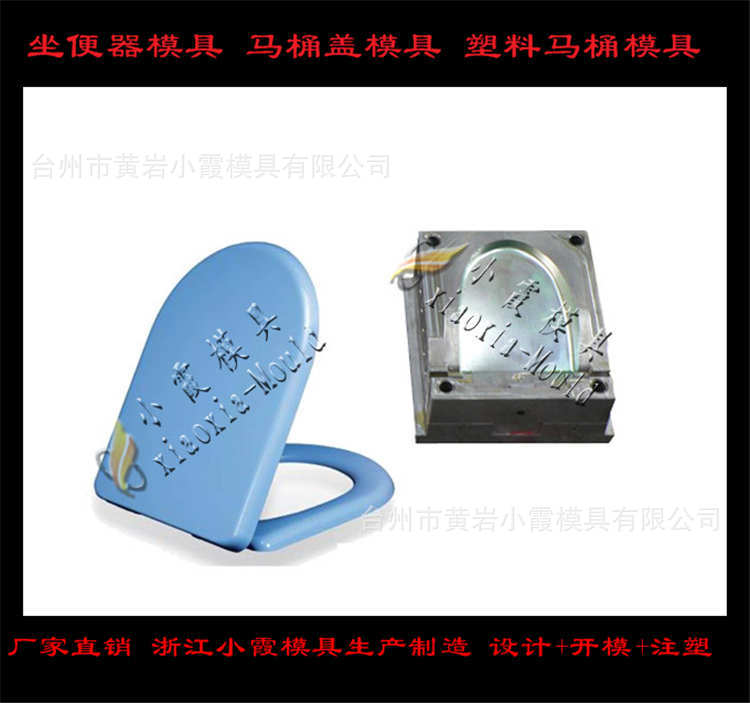 塑料马桶模具 (64)