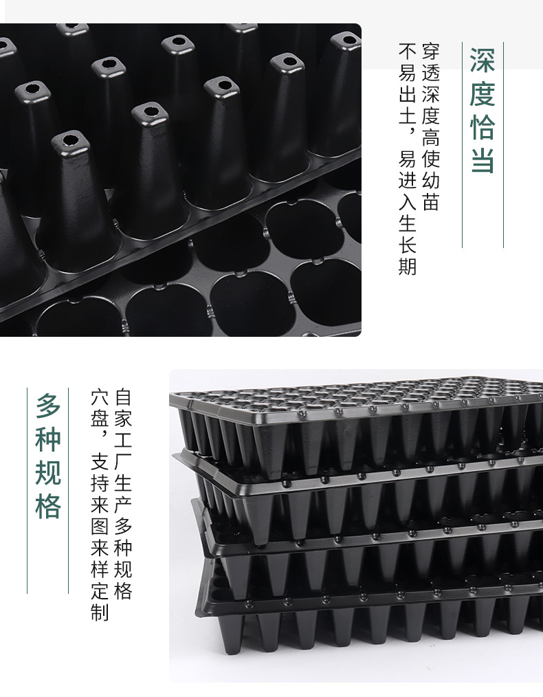 豆芽盘,育苗盘,芽菜盘,育苗穴盘,加厚育苗盘,72孔育苗盘,穴盘