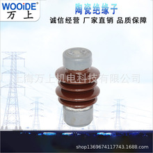 ZSW-24/16户外高压支柱绝缘子ZSW-20/10kv/8/30线路母牌支柱电瓷