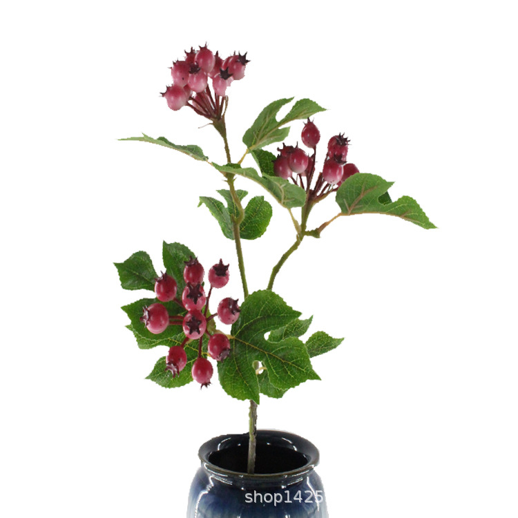 XRG-005 3叉小山楂果60厘米 (2).jpg