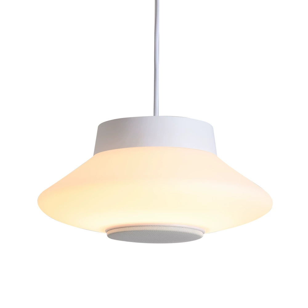 Mobile phone, ceiling lamp, bluetooth, remote control