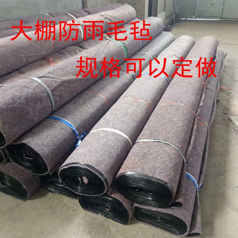 QQ图片20200301190329_副本_副本