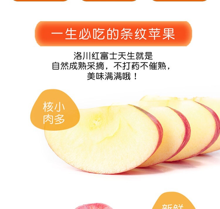 微信图片_202006231233584