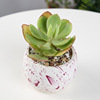 New product Creative Nordic Feng Shui drip water transfer multi -meat pots