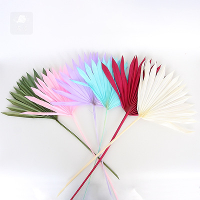 Nordic Home Furnishing decorate leaf Natural cattail fan Sunflower leaf Palm leaf DIY Floral materials Dried flowers