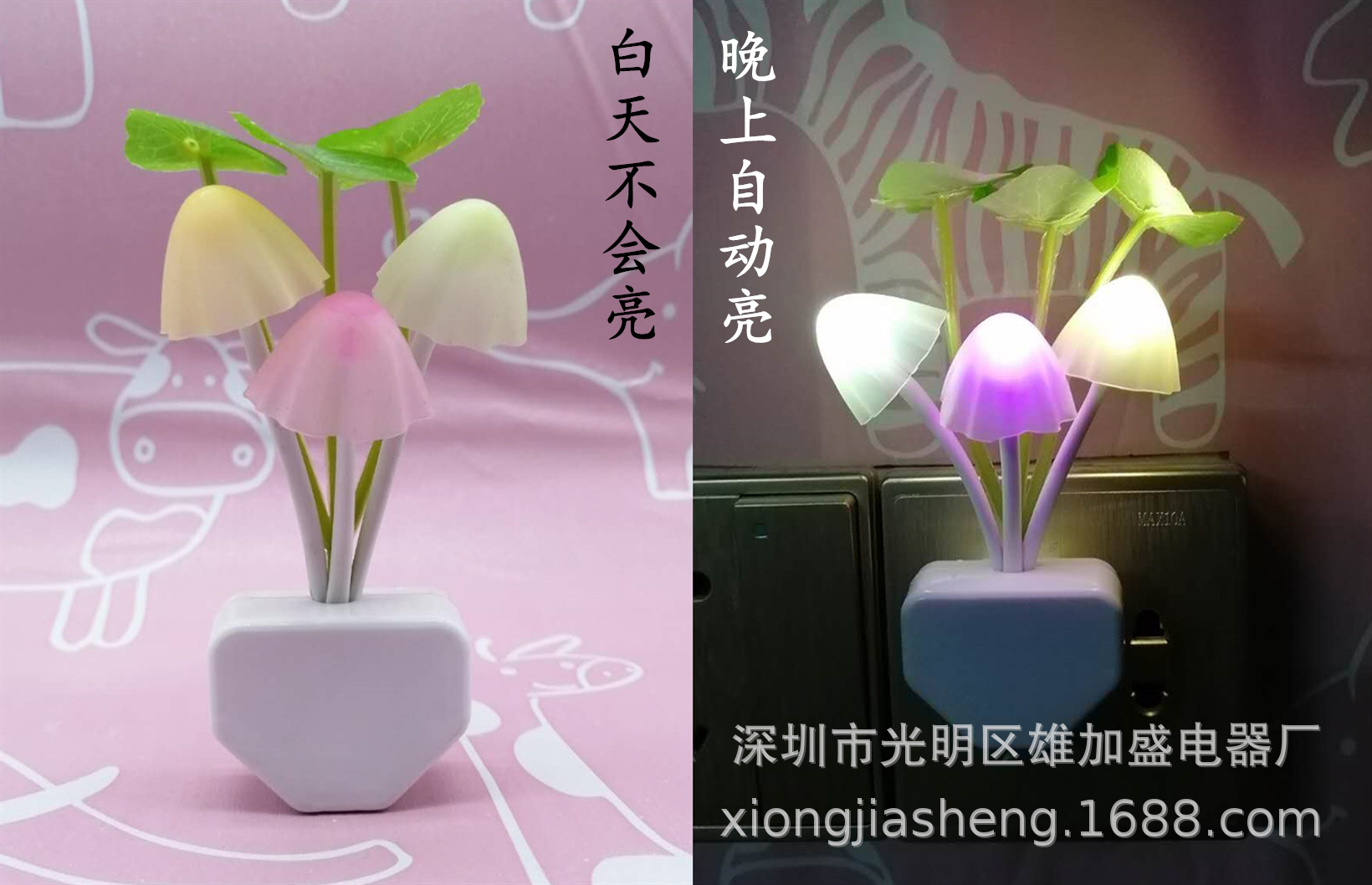 微信图片_20200910161411_副本