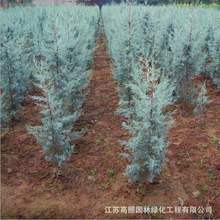 �S��؛Դ�ؘ���~�ɰ��^�p�{ɫ�����к��{�������Ͱ�ͥԺֲ���{ֲ