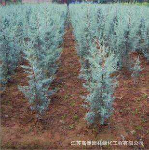 �S��؛Դ�ؘ���~�ɰ��^�p�{ɫ�����к��{�������Ͱ�ͥԺֲ���{ֲ