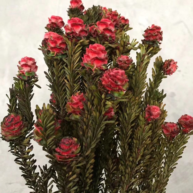 微信图片_20200129000440