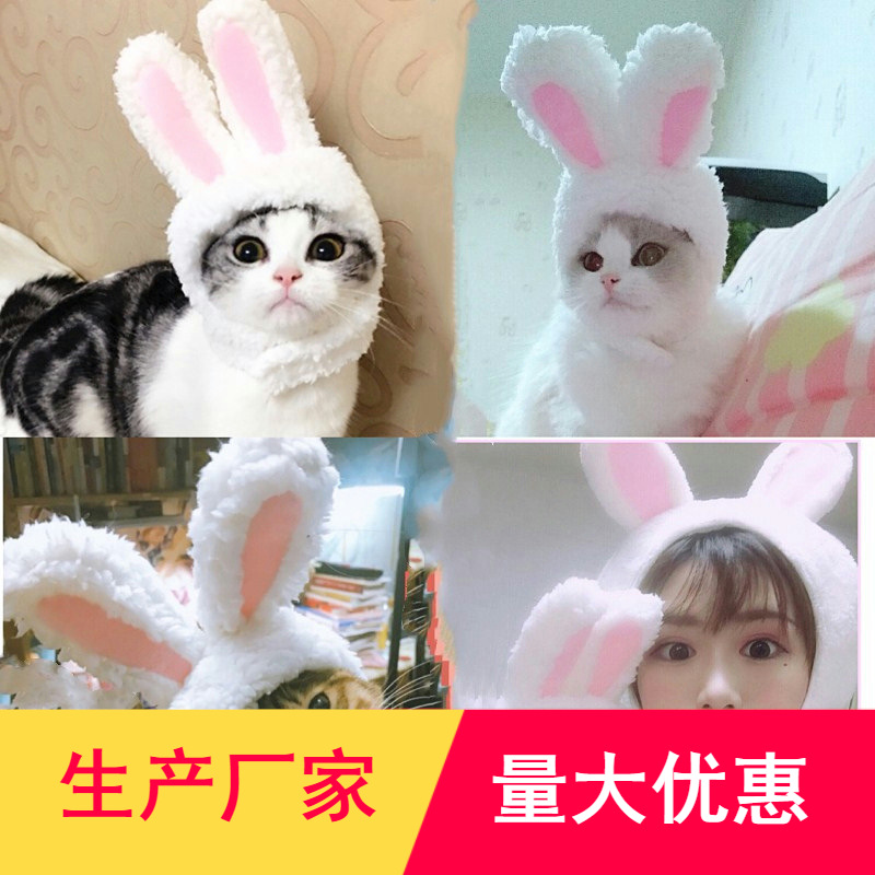 猫咪头套可爱兔子变装帽猫头饰表演道具搞笑宠物帽子加菲猫兔耳朵