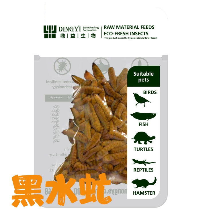 工厂直销保鲜虫黑水虻观赏鱼食龙鱼增色鱼饵龟粮鸟粮宠物饲料代发