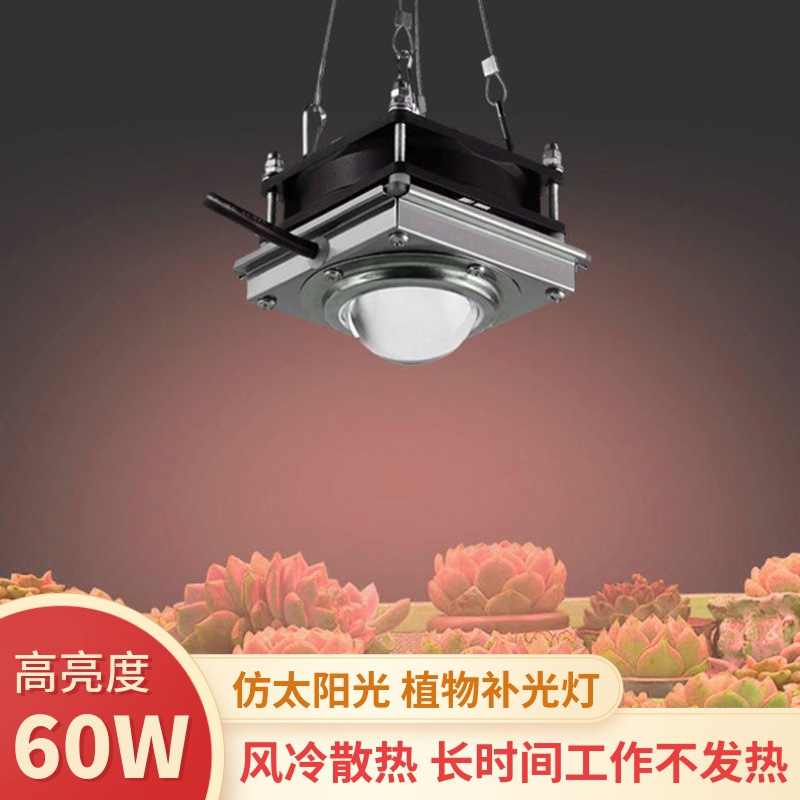 仙牛全光谱植物生长灯太阳光60WLED大棚蔬菜花卉种植多肉补光灯|ms