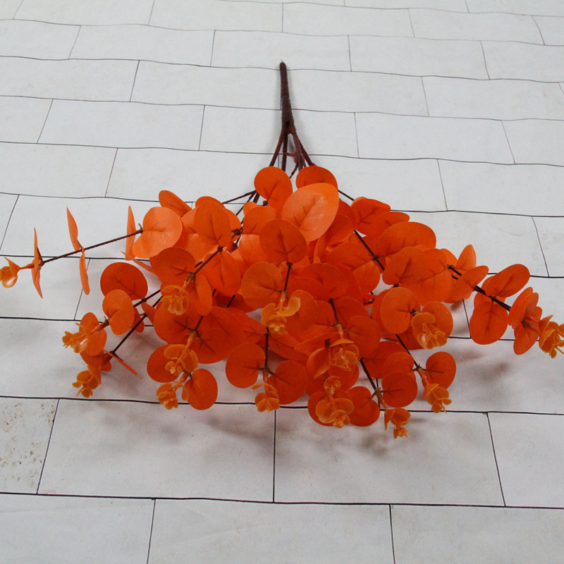 IMG_5804[1]_看图王_副本