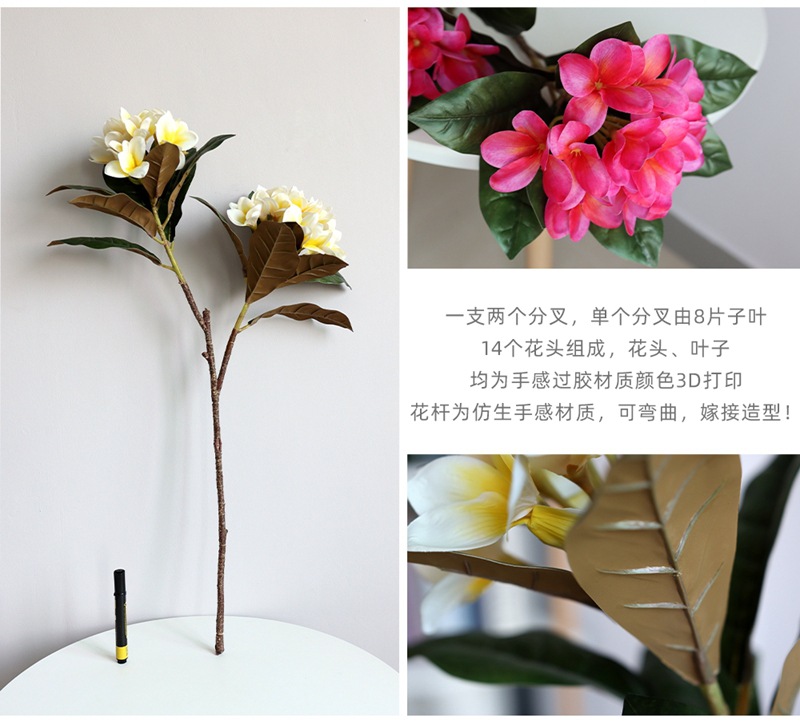 Plumeria7.jpg
