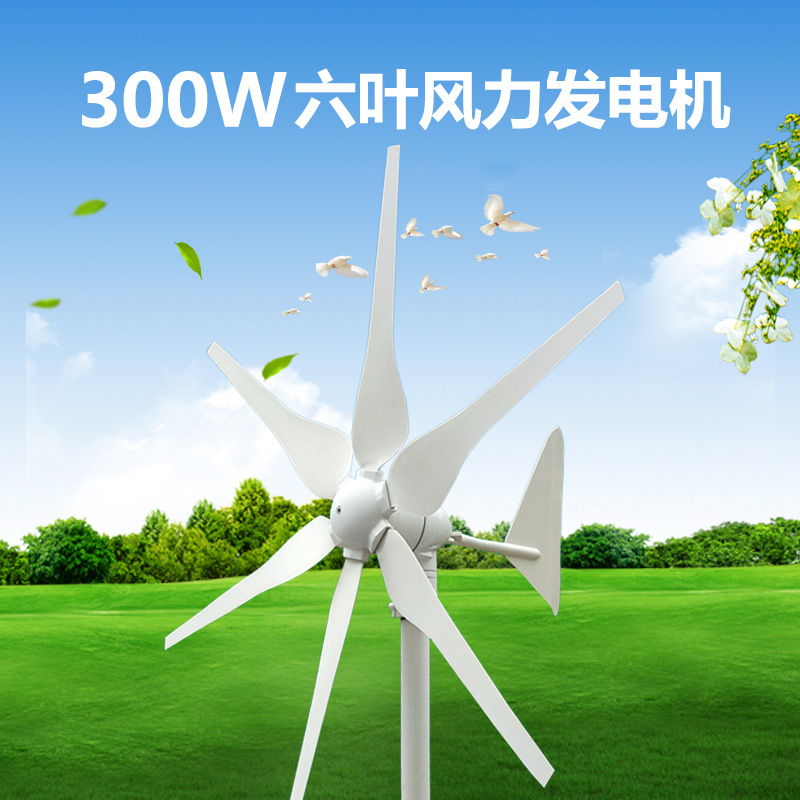 家用300W小型风力发电机12V6叶片微风启动永磁外转子电机一件代发|ms