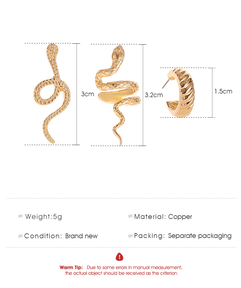 5g Weight Fashion Snake Plating Alloy No Inlaid Stud Earrings