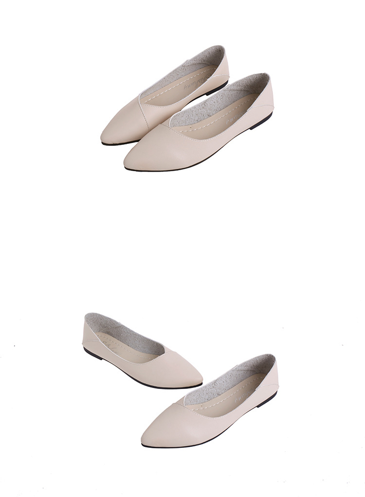 2019122622349215245563w750h102