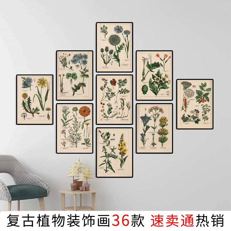 速卖通热销草本植物复古海报 Herbs花卉手稿俄文书房客厅帆布挂画|ms