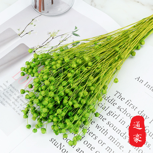 Factory direct supply of Yunnan eternal flower materials, dried flowers, rich bean craft gift materials, DIY flower arrangement materials