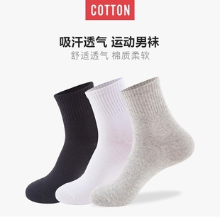 �m����ʿ��Ͳ��ɫ�L�m��Ͳ�ﶬ�п��ļ����m�������m�������b���l