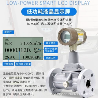 智能旋进漩涡旋涡流量计 天然气煤气沼气流量压缩空气氮气计量表
