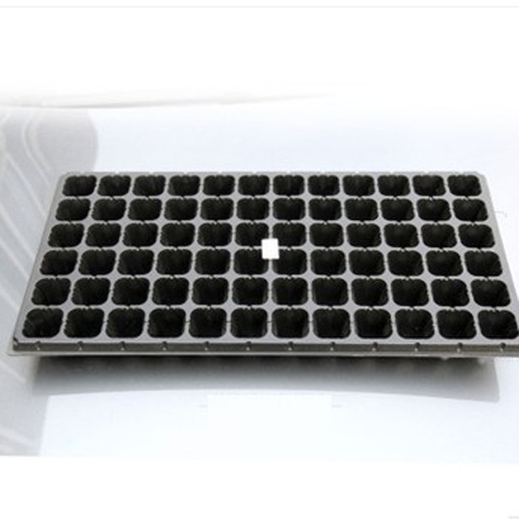 育苗穴盤育苗盤 芽菜盤多孔育苗盤大棚種植家用多肉植物育苗盆