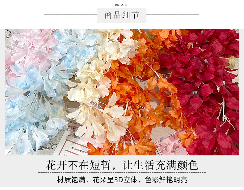 四叉飘雪_06.jpg