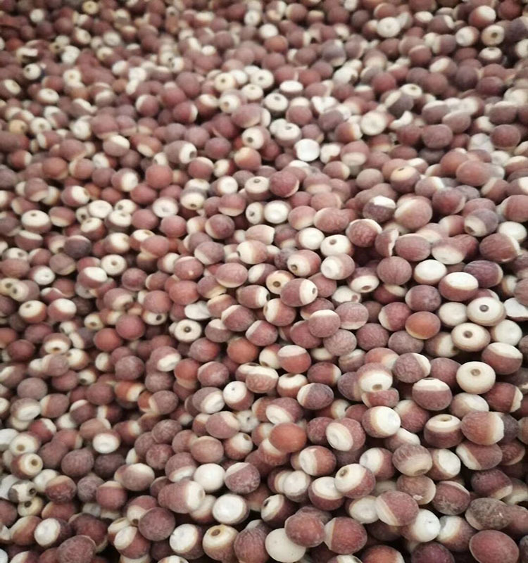 QQ图片20200426174407