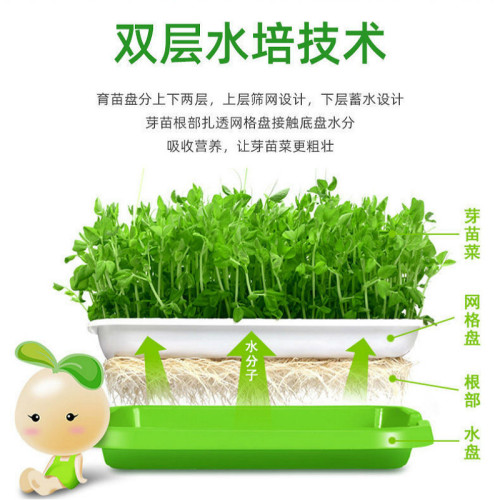 Sprout seedling tray manufacturer direct sales with cover moisturizing encrypted grid vegetable bean sprout planting multi-color insulation basin
