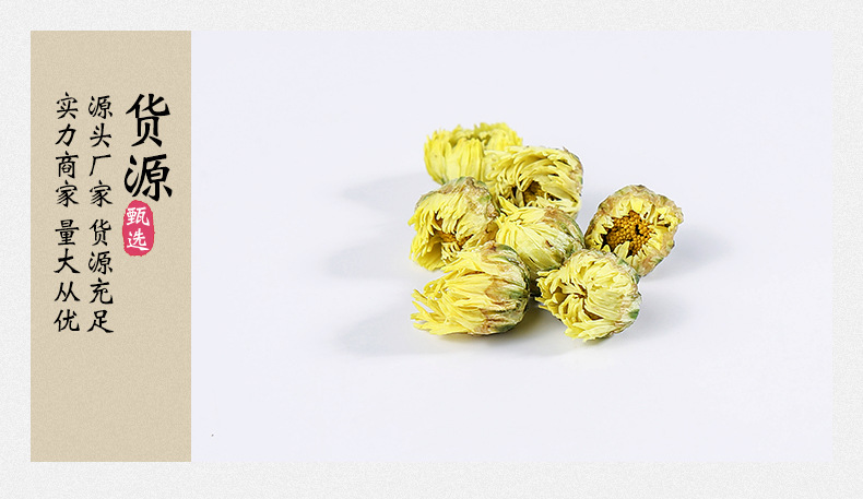 Tai Ju Chrysanthemum Buds 胎菊 Wholesale Herbal Tea First Harvest Flower Buds 500g Loose Dried Chrysanthemum Tea in use