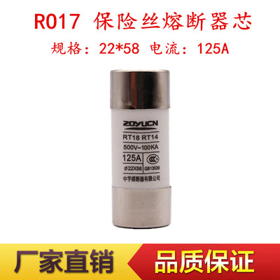 中宇 RO17 22*58MM 保险丝管 陶瓷 熔芯 RT18 RT14 63A80A100A|ms