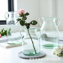 北欧简约蓝绿气泡双耳花瓶广口透明玻璃摆件家居客厅摆设插花花器