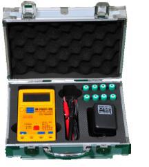 高压兆欧表 型号DE076/PC27-6G库号M374450