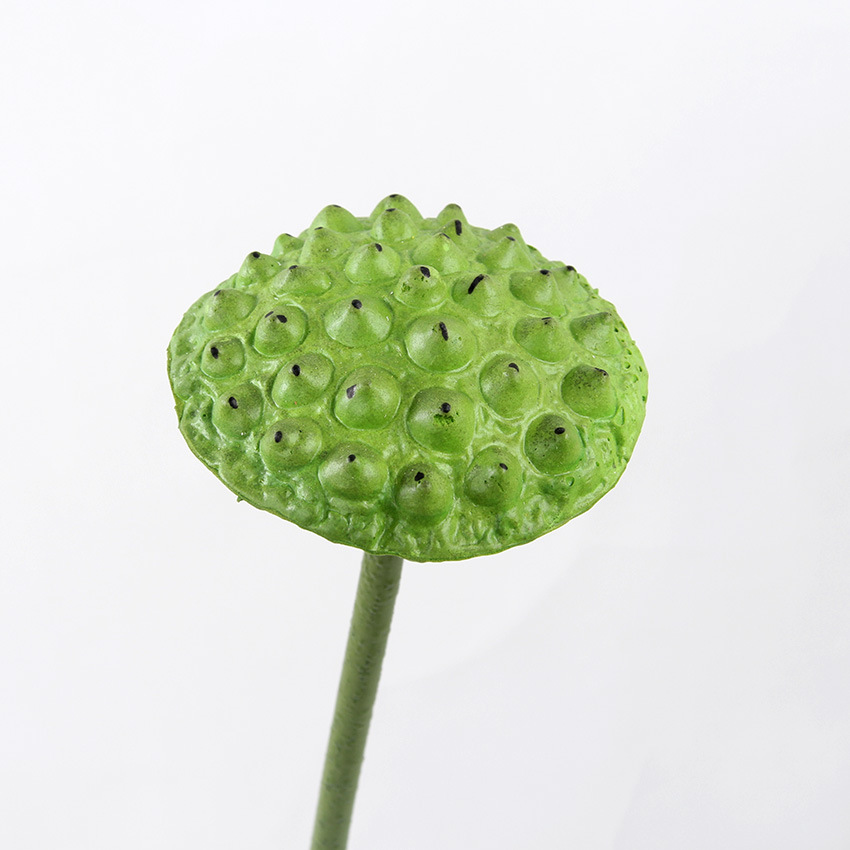 单支莲蓬大 2.jpg